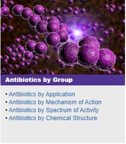 Antibiotics by Group